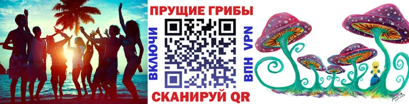 Галлюциногенные грибы Cubensis  как найти наркотики  Спасск-Рязанский 
